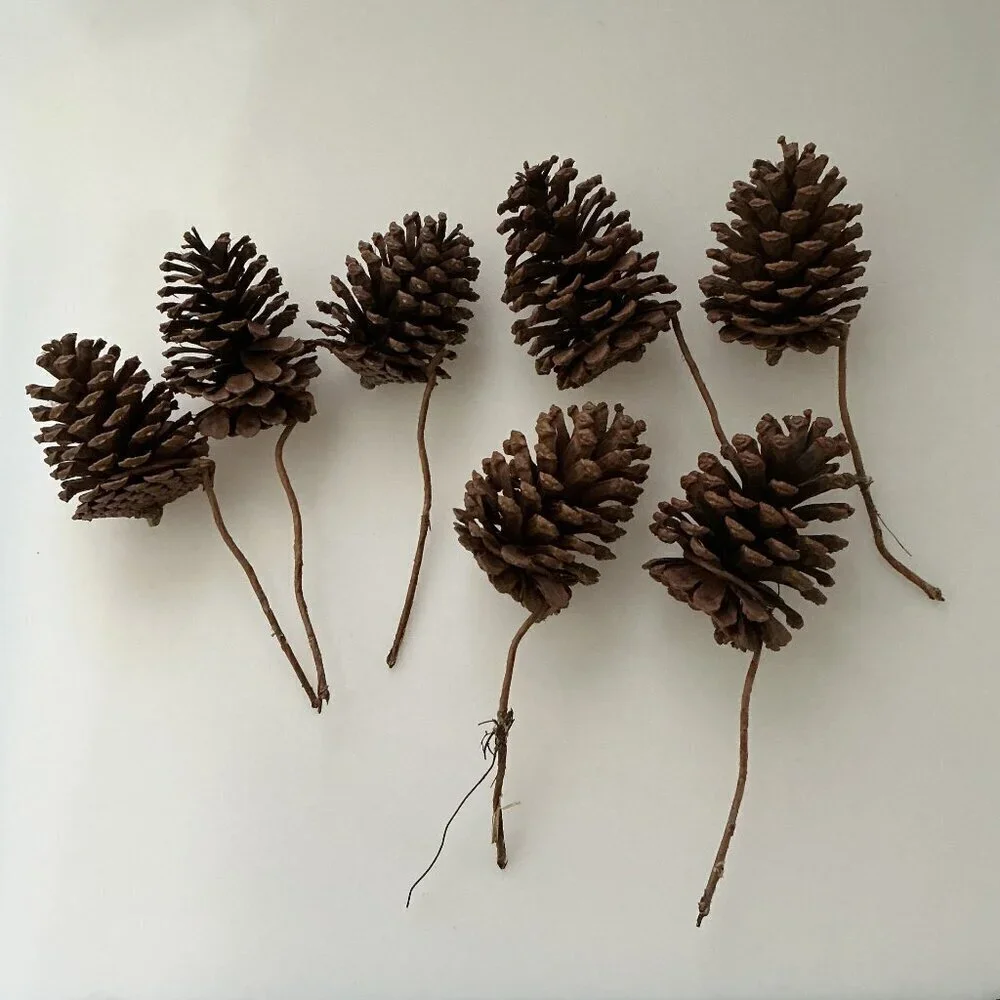 DIY PINE CONES AND CURLY TWIGS 13 COUNT